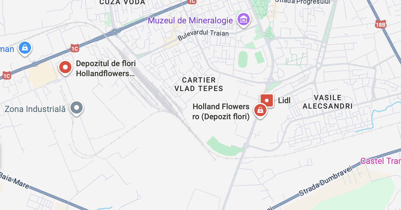 Locație Holland Flowers